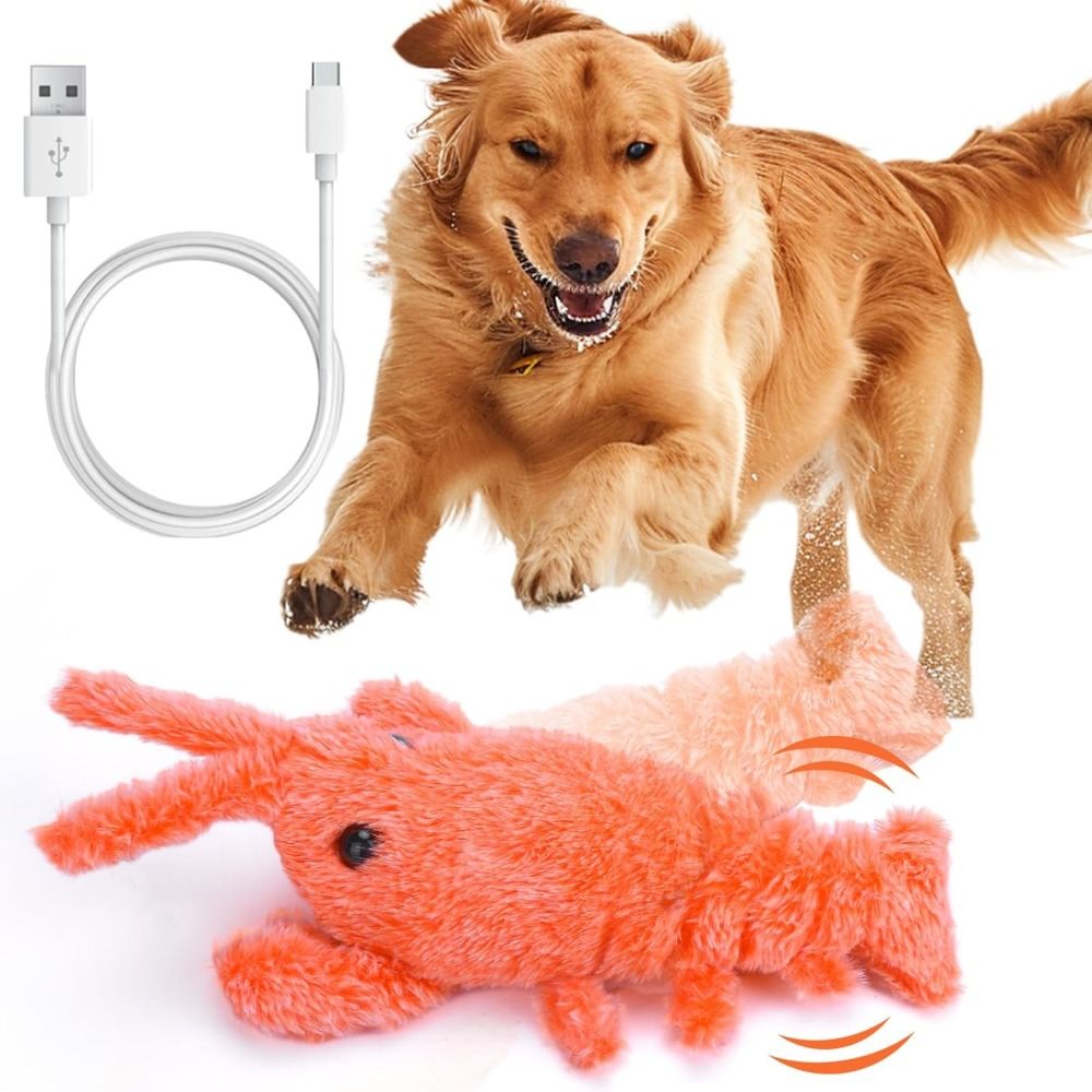 Power Tools Cat - USB Charging Lobster Cats Toy Dancing