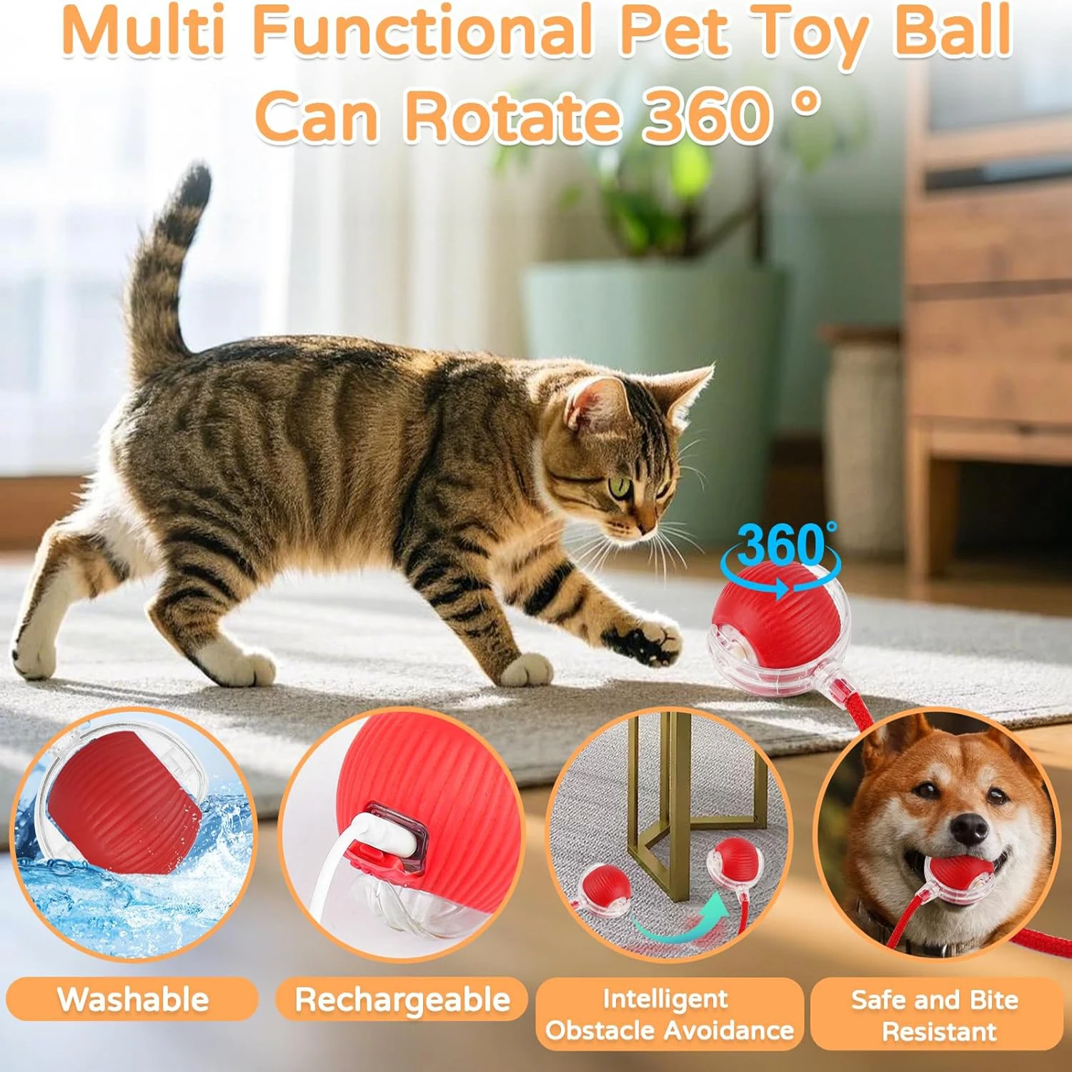 Cat Interactive Ball Toy Autom - Power Tools Cat ulasan dan harga