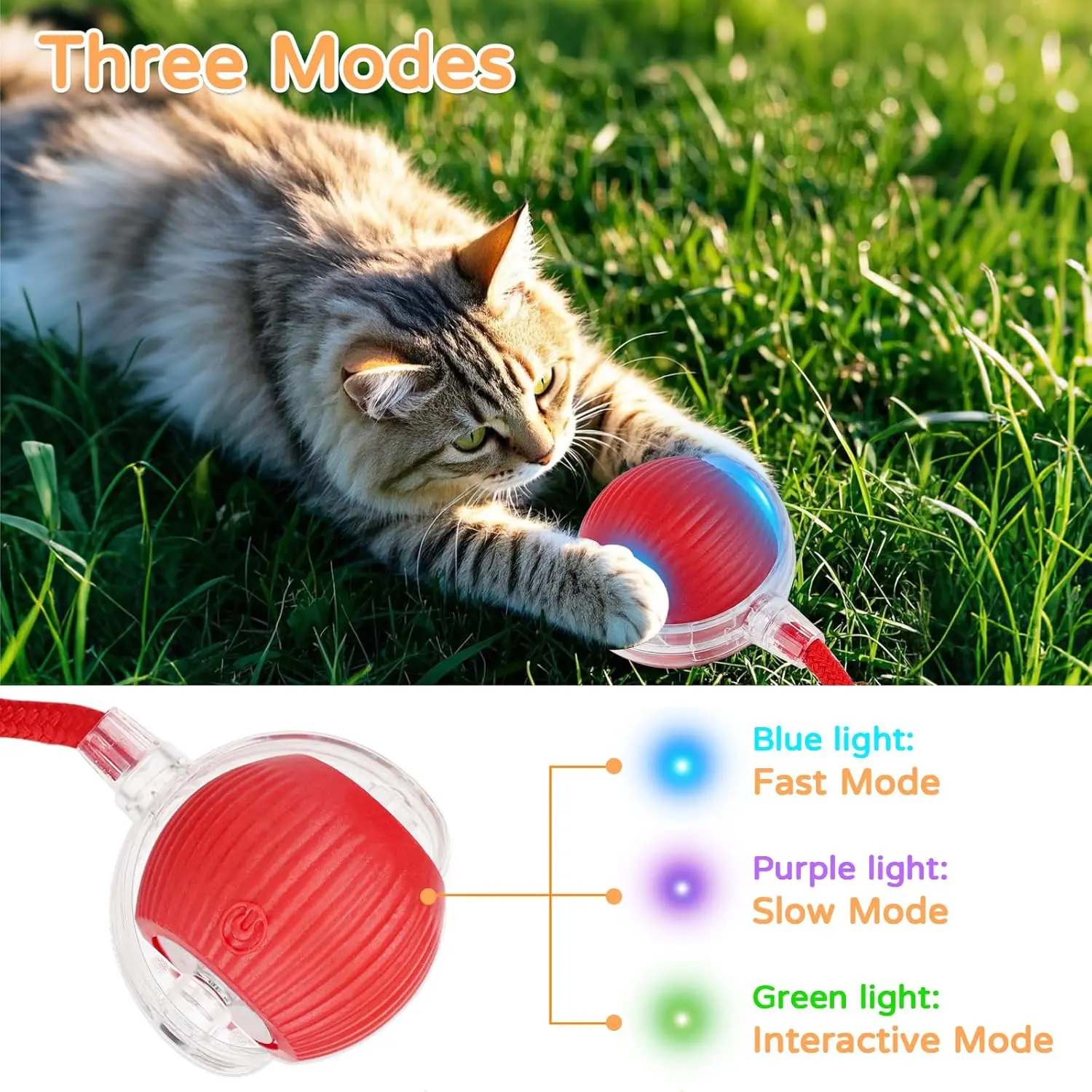Cat Interactive Ball Toy Autom - Power Tools Cat ulasan dan harga
