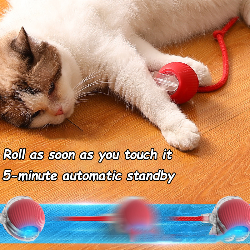 New Cat Interactive Ball Toy A - Power Tools Cat ulasan dan harga
